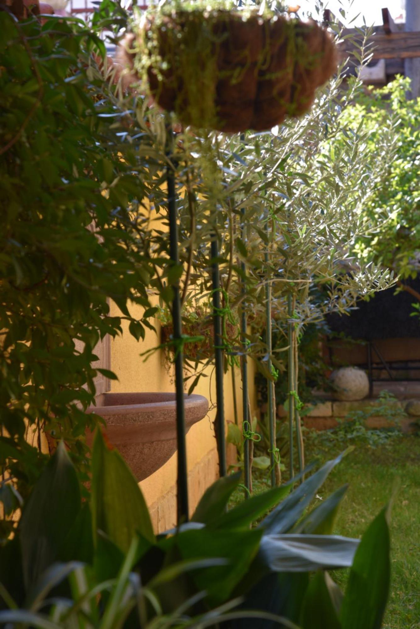 House Justina Vila Zadar Exterior foto